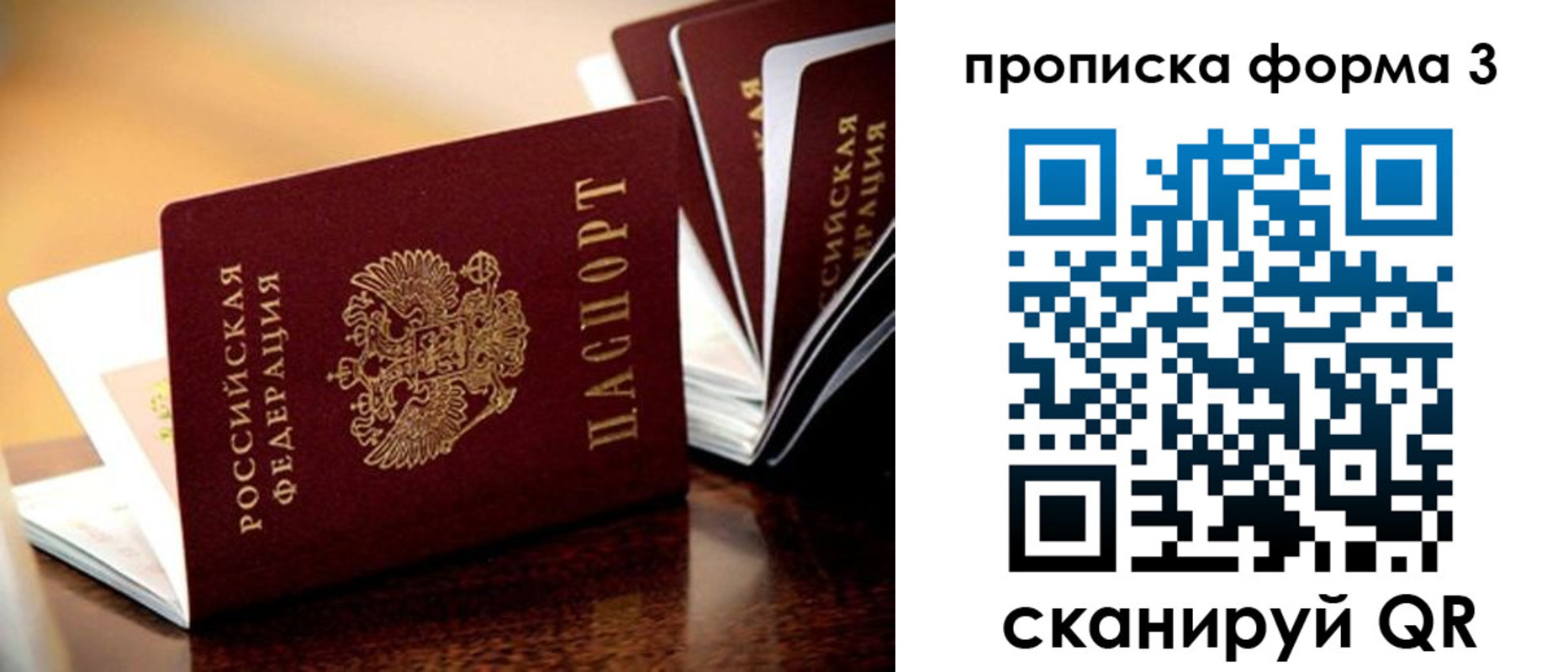 временная регистрация надежно в Брянской области